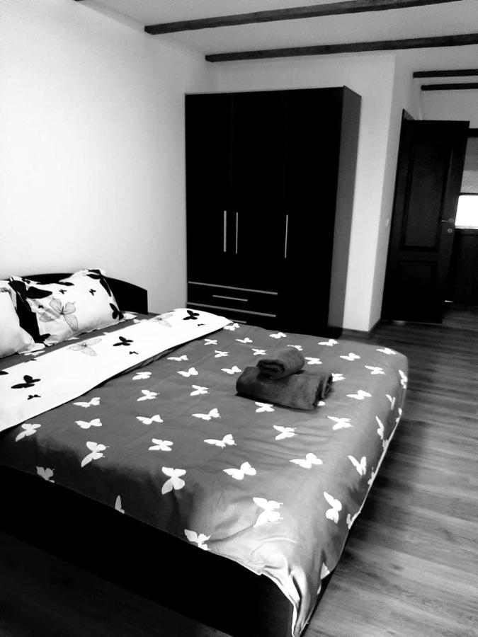 Casa De Vacanta Sadu Exteriér fotografie