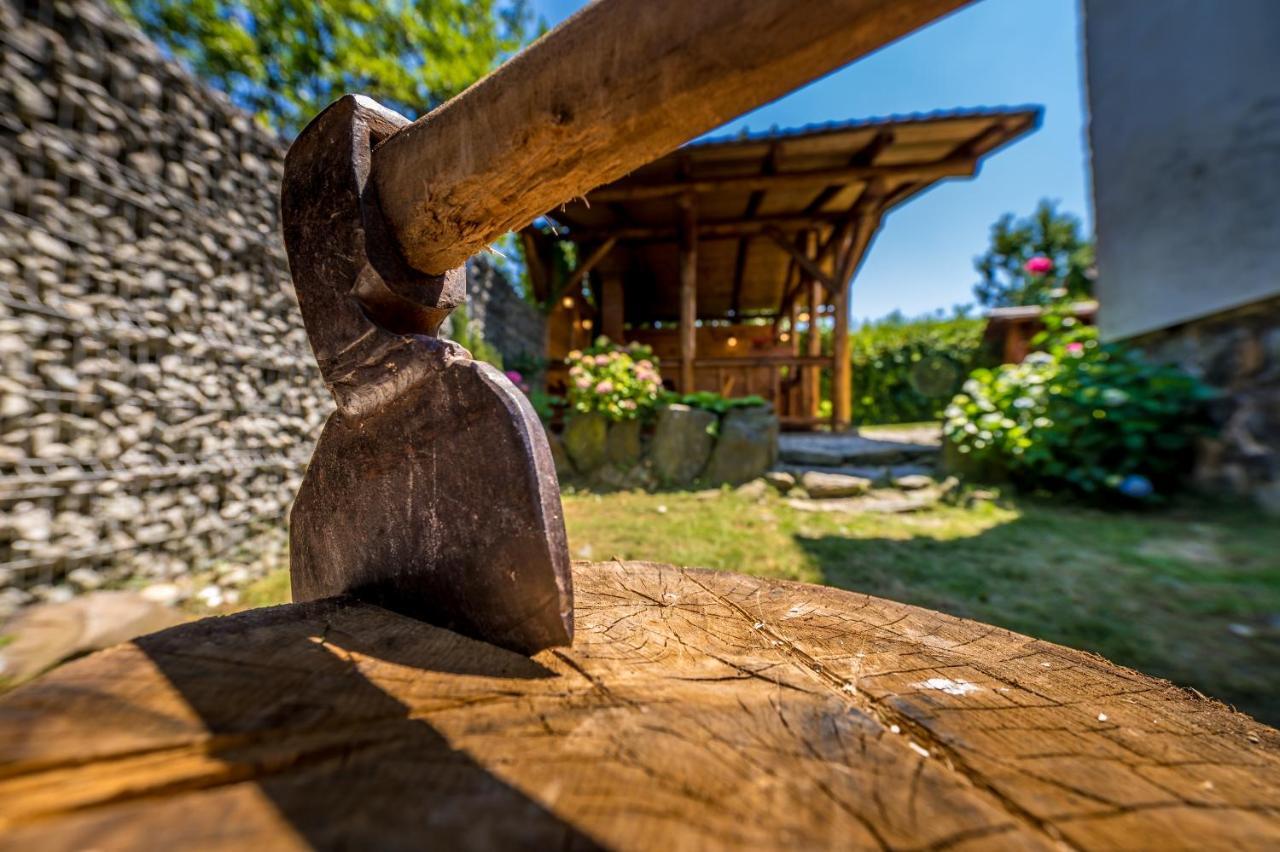 Casa De Vacanta Sadu Exteriér fotografie